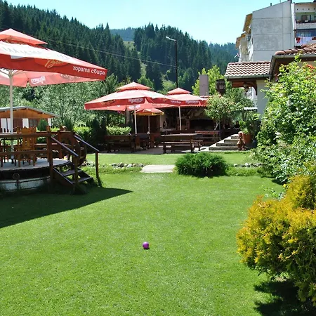 Family Shoky Hotel 3*